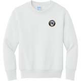 PA Brick Youth Core Fleece Crewneck Sweatshirt